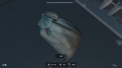 Forbidden place Screenshots