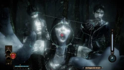 Скриншот к игре Fatal Frame: Maiden of Black Water