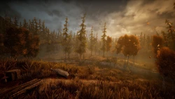 Wandering Wolf Screenshots