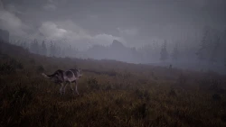 Wandering Wolf Screenshots