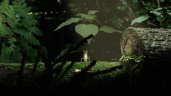 Seedlings Screenshots