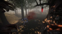 Mythic: Forest Warden Screenshots