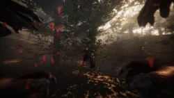 Mythic: Forest Warden Screenshots