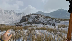 Скриншот к игре Empire of Ember