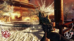 Скриншот к игре Shadow Warrior