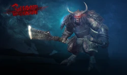 Скриншот к игре Shadow Warrior