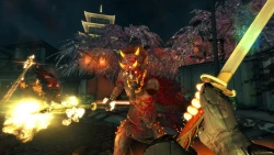 Скриншот к игре Shadow Warrior
