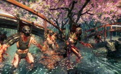 Скриншот к игре Shadow Warrior