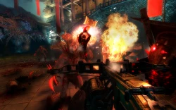 Скриншот к игре Shadow Warrior