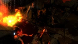 Outbreak: Contagious Memories Screenshots