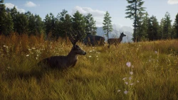 Way of the Hunter Screenshots