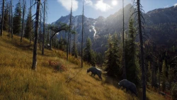 Скриншот к игре Way of the Hunter