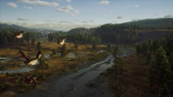 Way of the Hunter Screenshots