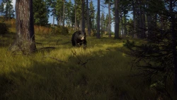 Way of the Hunter Screenshots