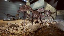 Скриншот к игре Dinosaur Fossil Hunter
