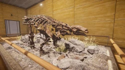 Скриншот к игре Dinosaur Fossil Hunter