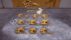 Dinosaur Fossil Hunter Screenshots