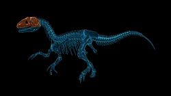 Dinosaur Fossil Hunter Screenshots