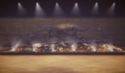 Dinosaur Fossil Hunter Screenshots
