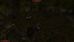 The Chronicles Of Myrtana: Archolos Screenshots