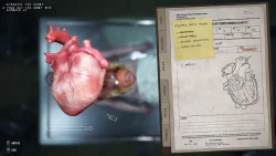 Autopsy Simulator Screenshots