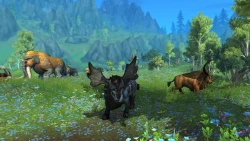 World of Warcraft: Dragonflight Screenshots