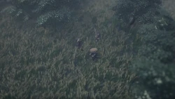 Rōnin Trail Screenshots