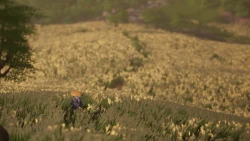 Rōnin Trail Screenshots