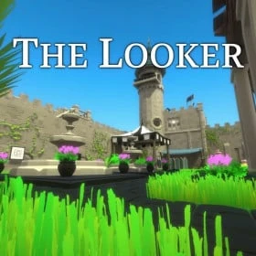 The Looker