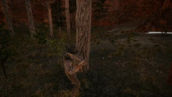 Wild West Dynasty Screenshots
