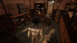 Wild West Dynasty Screenshots