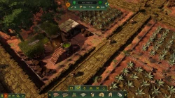 Aztec Empire Screenshots