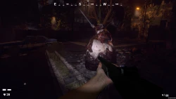 Going Into The Unknown Screenshots
