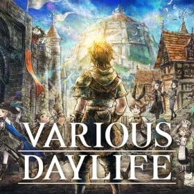Various Daylife