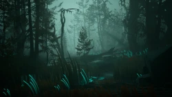 Pacific Drive Screenshots