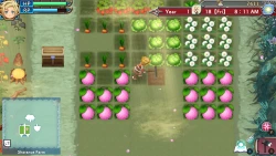 Скриншот к игре Rune Factory 3 Special