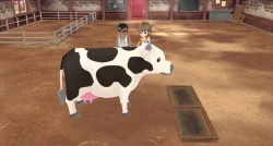 Story of Seasons: A Wonderful Life Screenshots