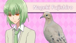 Hatoful Boyfriend Screenshots