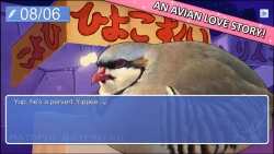 Hatoful Boyfriend Screenshots