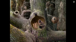 Samorost 1 Screenshots