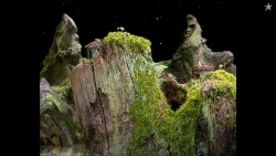 Samorost 1 Screenshots