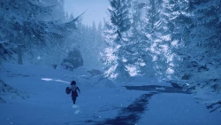 Skábma™ - Snowfall Screenshots