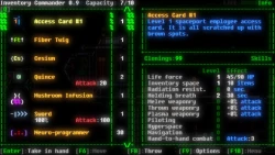 ASCIIDENT Screenshots