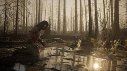 Trail of Ayash Screenshots