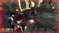 Pirates, Vikings, & Knights II Screenshots