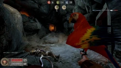 Pirates, Vikings, & Knights II Screenshots