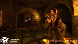 Pirates, Vikings, & Knights II Screenshots