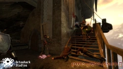 Pirates, Vikings, & Knights II Screenshots