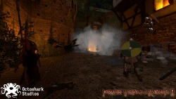 Pirates, Vikings, & Knights II Screenshots