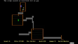 Скриншот к игре Rogue